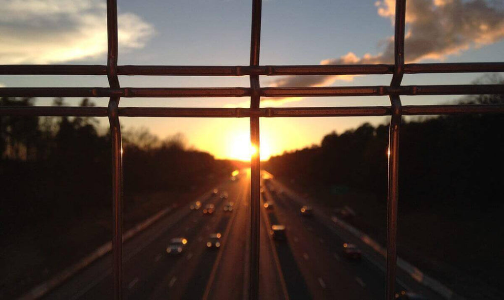 Aliquet magna maximus