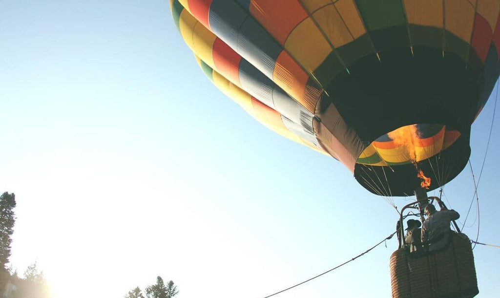 Nullam quis ligula ut