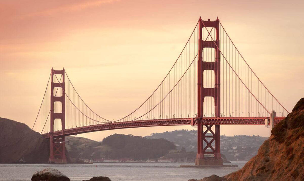 Nam sit amet risus tincidunt